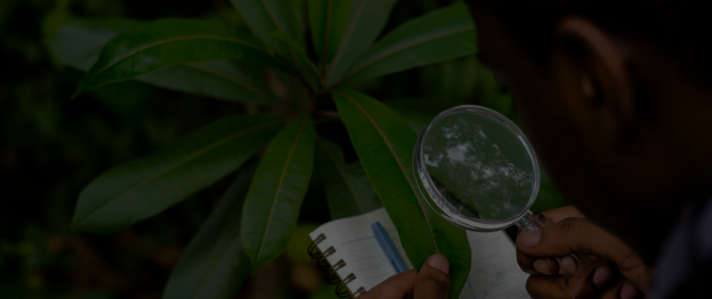 Hypocritical Transactions book cover